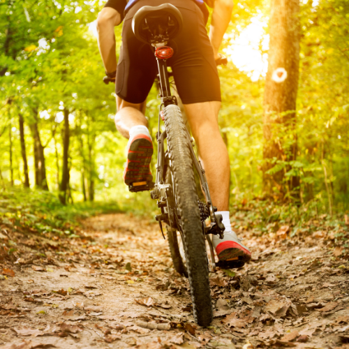 Vtt électrique dans la forêt