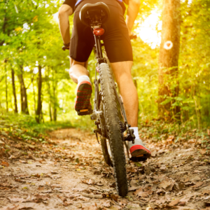 Vtt électrique dans la forêt