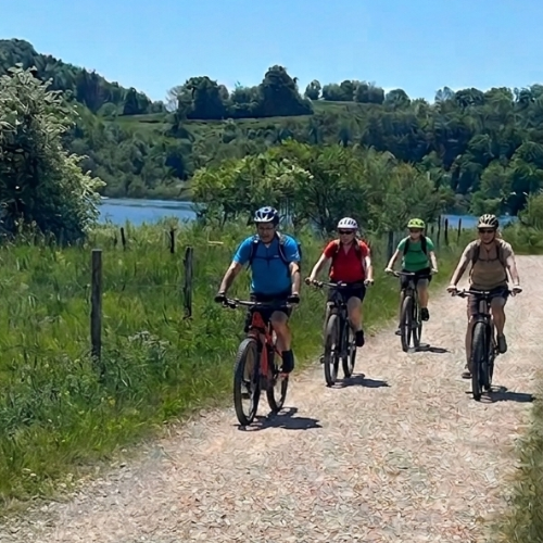 Groupe en VTT électrique sur un parcours du Haut-Jura